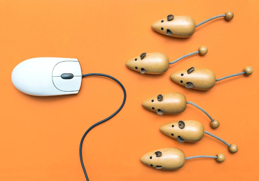 come fare crescere i propri follower sui social