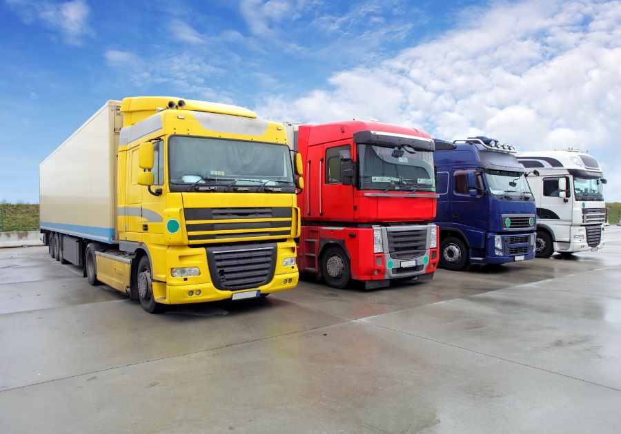 terry-bertelli-social-media-specialist-corsobrembana-trasporti