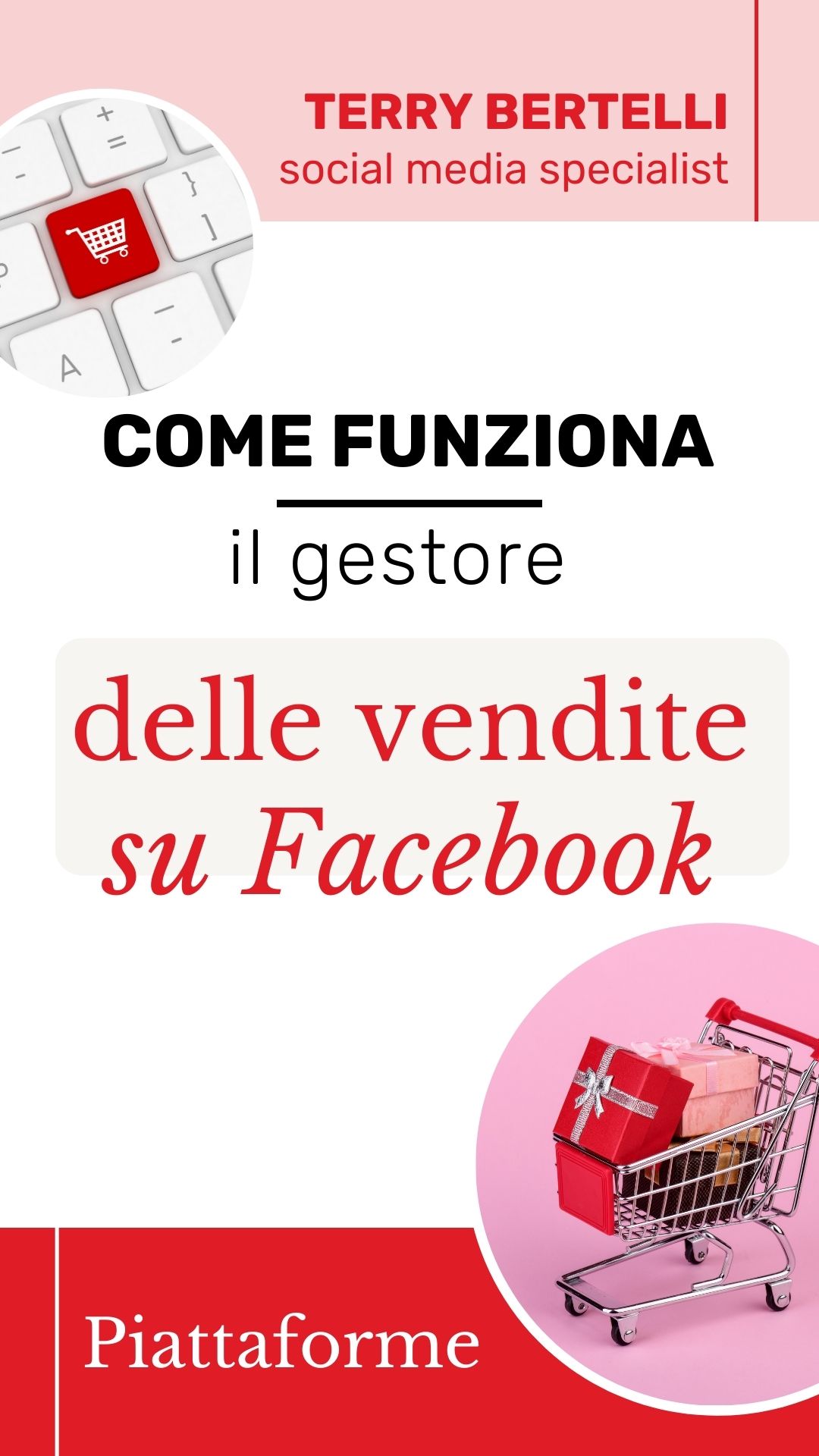come funziona il gestore delle vendite di facebook
