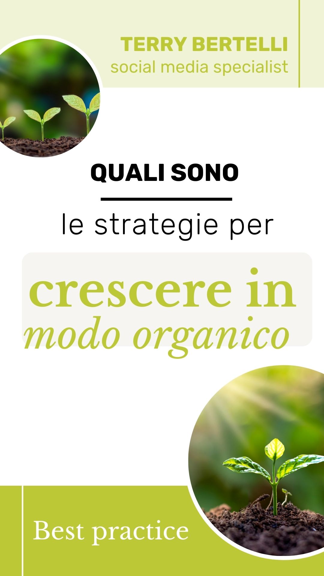 quali sono le strategie per crescere in modo organico