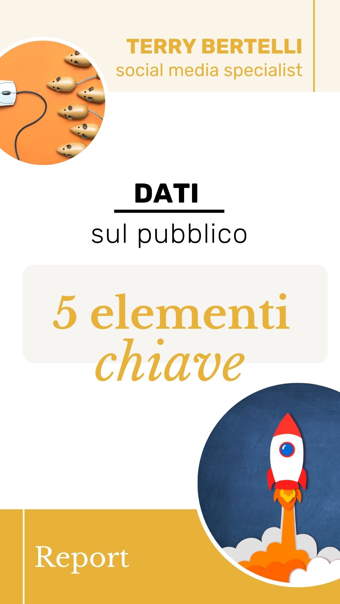 report sul pubblico 5 elementi chiave